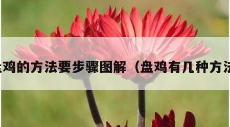 盘鸡的方法要步骤图解（盘鸡有几种方法）