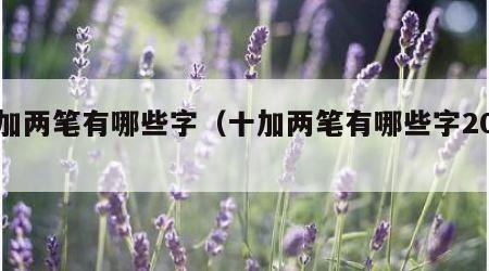 十加两笔有哪些字（十加两笔有哪些字20个）