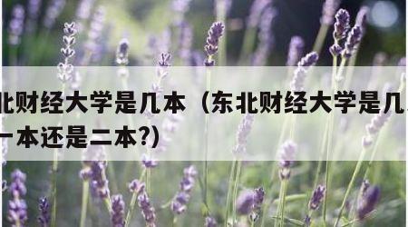 东北财经大学是几本（东北财经大学是几本?是一本还是二本?）