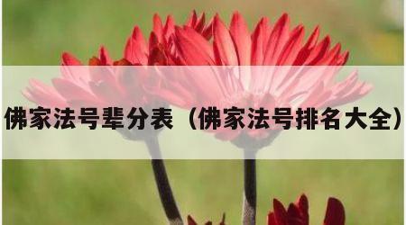 佛家法号辈分表（佛家法号排名大全）