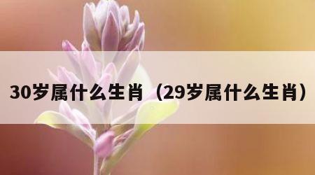 30岁属什么生肖（29岁属什么生肖）