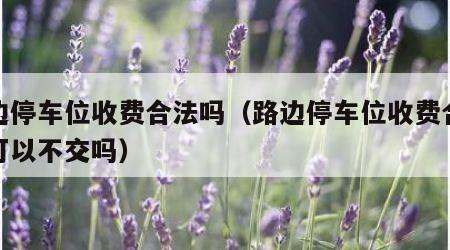 路边停车位收费合法吗（路边停车位收费合法吗可以不交吗）