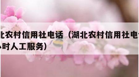 湖北农村信用社电话（湖北农村信用社电话24小时人工服务）