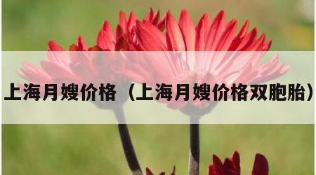 上海月嫂价格（上海月嫂价格双胞胎）