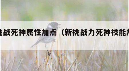 新挑战死神属性加点（新挑战力死神技能加点图）