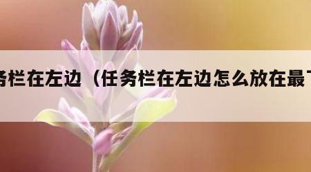 任务栏在左边（任务栏在左边怎么放在最下面）