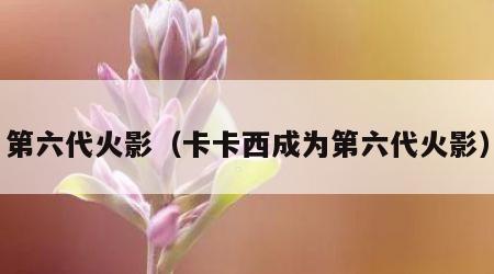 第六代火影（卡卡西成为第六代火影）