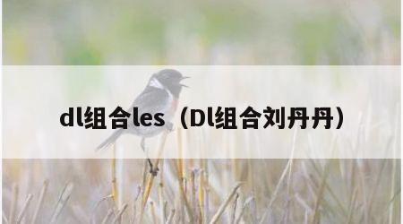 dl组合les（Dl组合刘丹丹）