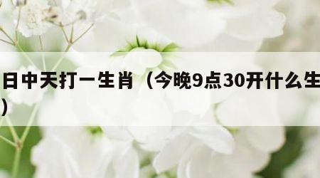 如日中天打一生肖（今晚9点30开什么生肖明）