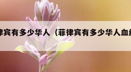 菲律宾有多少华人（菲律宾有多少华人血统人口）