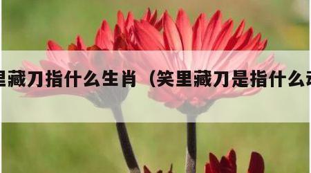 笑里藏刀指什么生肖（笑里藏刀是指什么动物）