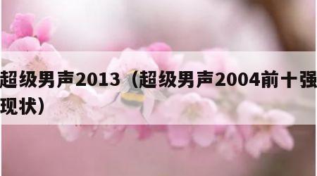 超级男声2013（超级男声2004前十强现状）