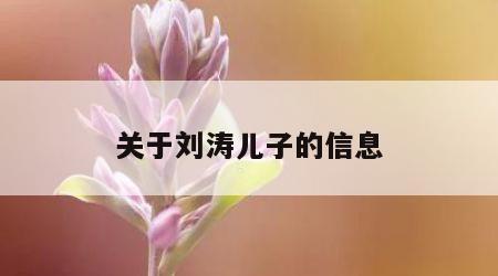 关于刘涛儿子的信息