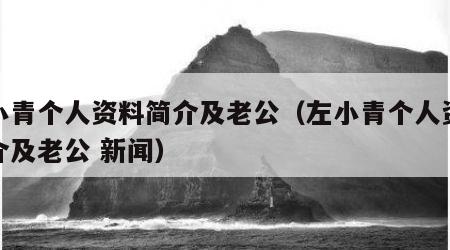 左小青个人资料简介及老公（左小青个人资料简介及老公 新闻）