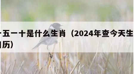 一五一十是什么生肖（2024年查今天生肖日历）