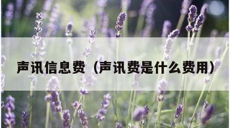 声讯信息费（声讯费是什么费用）