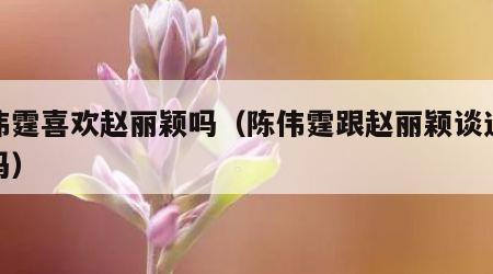 陈伟霆喜欢赵丽颖吗（陈伟霆跟赵丽颖谈过恋爱吗）