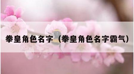 拳皇角色名字（拳皇角色名字霸气）