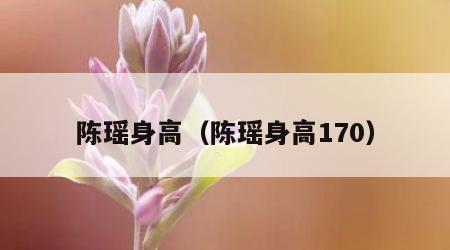 陈瑶身高（陈瑶身高170）