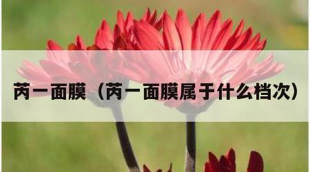 芮一面膜（芮一面膜属于什么档次）