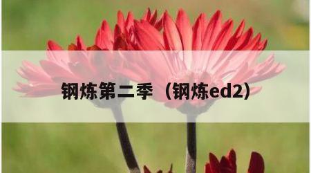 钢炼第二季（钢炼ed2）