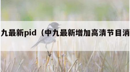 中九最新pid（中九最新增加高清节目消息）