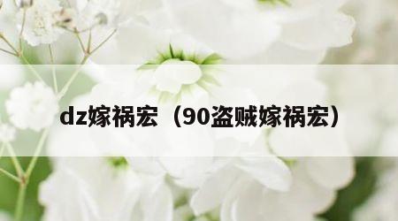 dz嫁祸宏（90盗贼嫁祸宏）