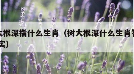 树大根深指什么生肖（树大根深什么生肖答案,落实）