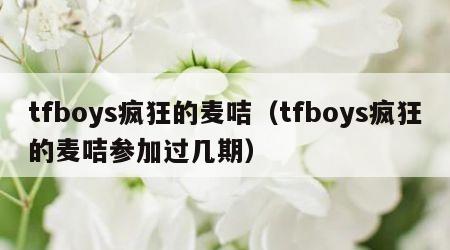 tfboys疯狂的麦咭（tfboys疯狂的麦咭参加过几期）