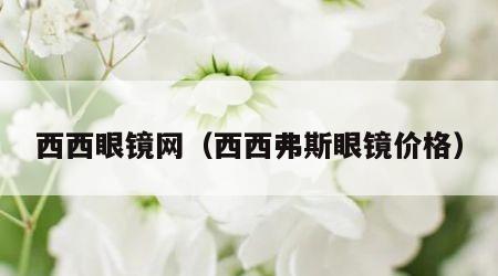 西西眼镜网（西西弗斯眼镜价格）