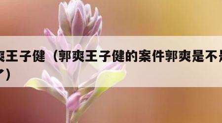 郭爽王子健（郭爽王子健的案件郭爽是不是判重了）