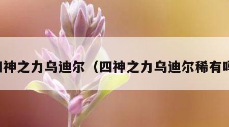 四神之力乌迪尔（四神之力乌迪尔稀有吗）