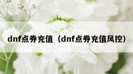 dnf点券充值（dnf点券充值风控）