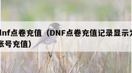 dnf点卷充值（DNF点卷充值记录显示为账号充值）