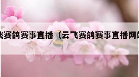 云飞赛鸽赛事直播（云飞赛鸽赛事直播网站网址）