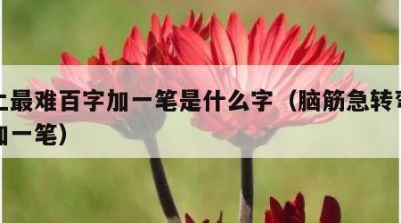 史上最难百字加一笔是什么字（脑筋急转弯百字加一笔）