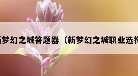 新梦幻之城答题器（新梦幻之城职业选择）