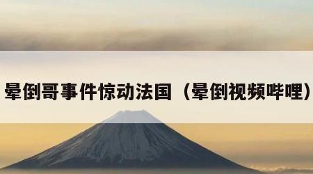 晕倒哥事件惊动法国（晕倒视频哔哩）