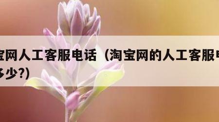 淘宝网人工客服电话（淘宝网的人工客服电话是多少?）