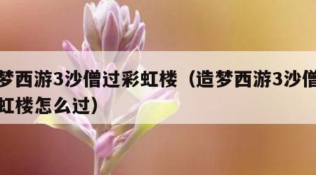 造梦西游3沙僧过彩虹楼（造梦西游3沙僧过彩虹楼怎么过）