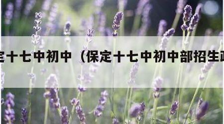 保定十七中初中（保定十七中初中部招生政策）