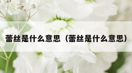 蕾丝是什么意思（蕾丝是什么意思）