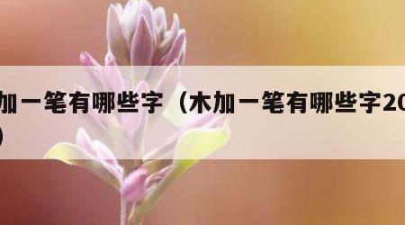 木加一笔有哪些字（木加一笔有哪些字20个字）