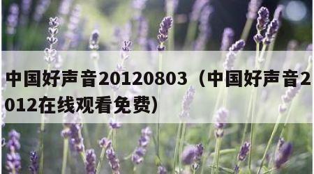 中国好声音20120803（中国好声音2012在线观看免费）