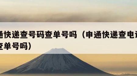 申通快递查号码查单号吗（申通快递查电话号码查单号吗）