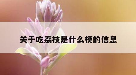 关于吃荔枝是什么梗的信息