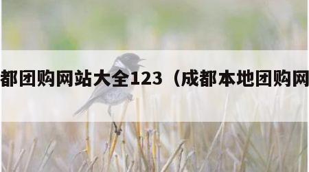 成都团购网站大全123（成都本地团购网站）