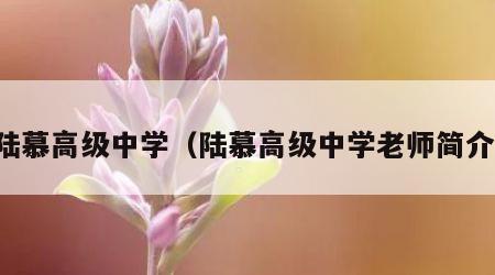 陆慕高级中学（陆慕高级中学老师简介）