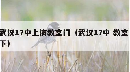 武汉17中上演教室门（武汉17中 教室 下）