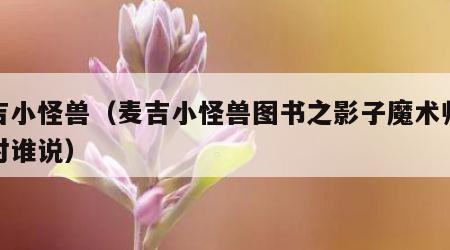 麦吉小怪兽（麦吉小怪兽图书之影子魔术师我想对谁说）